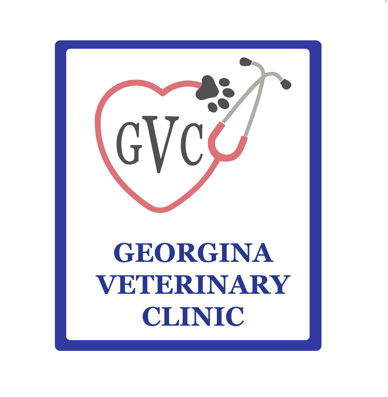 Georgina Veterinary Clinic