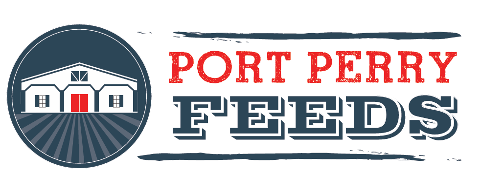 Port Perry Feeds